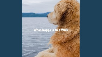 Elegant Backdrops for Limitless Overtones