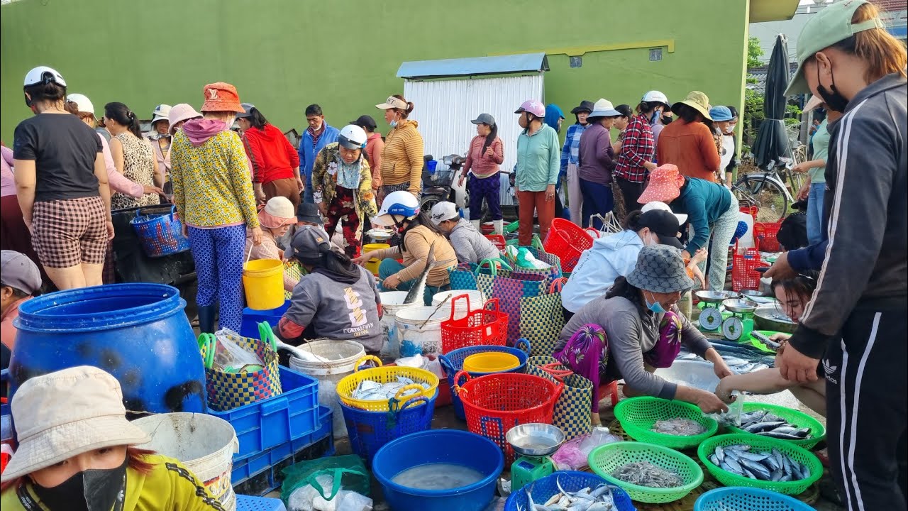 Bà Con Làng Chài Long Thủy Phú Yên Vui Mừng Khi Ghe Về Đầy Ấp Cá Mực Tươi