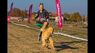 ROAR!  Hard Dog Races with Indy The Hovawart