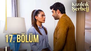 Kızılcık Şerbeti 17 Bölüm 