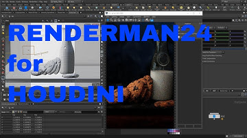 houdini renderman 24