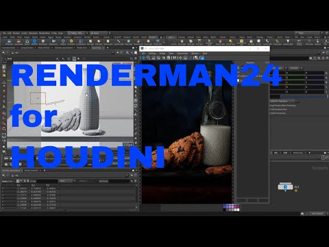 houdini renderman 24