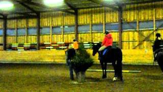 Picture 2217.avi
