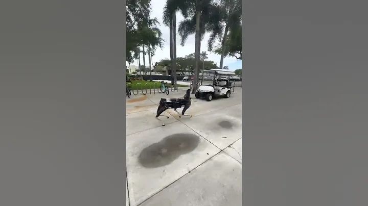 Robot Dog 16 #shorts #robots