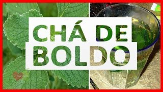 Os 10 Benefícios do Chá de Boldo Para Saúde! | Dicas de Saúde