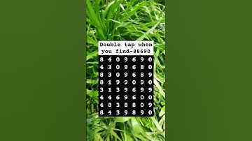 Double tap when you find-88690 #shorts #puzzle #search