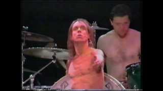 Iggy Pop - cold metal