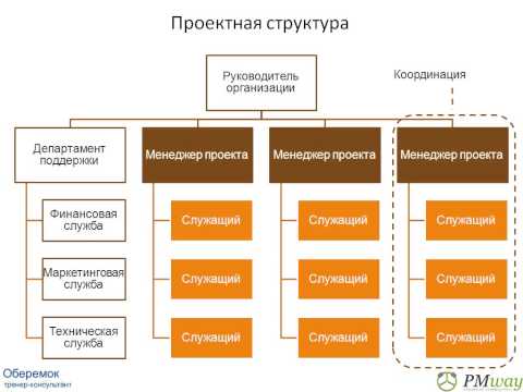 Организационная структура проектного управления