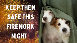 Ideas to help keep your dog calm during the firework season #fireworks #dogs #scared #nervous