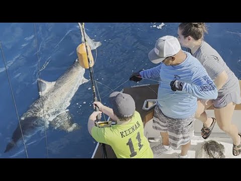 Kid catches great white shark off Fort Lauderdale