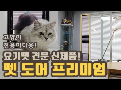 견문 업그레이드! 요기펫 펫도어 프리미엄