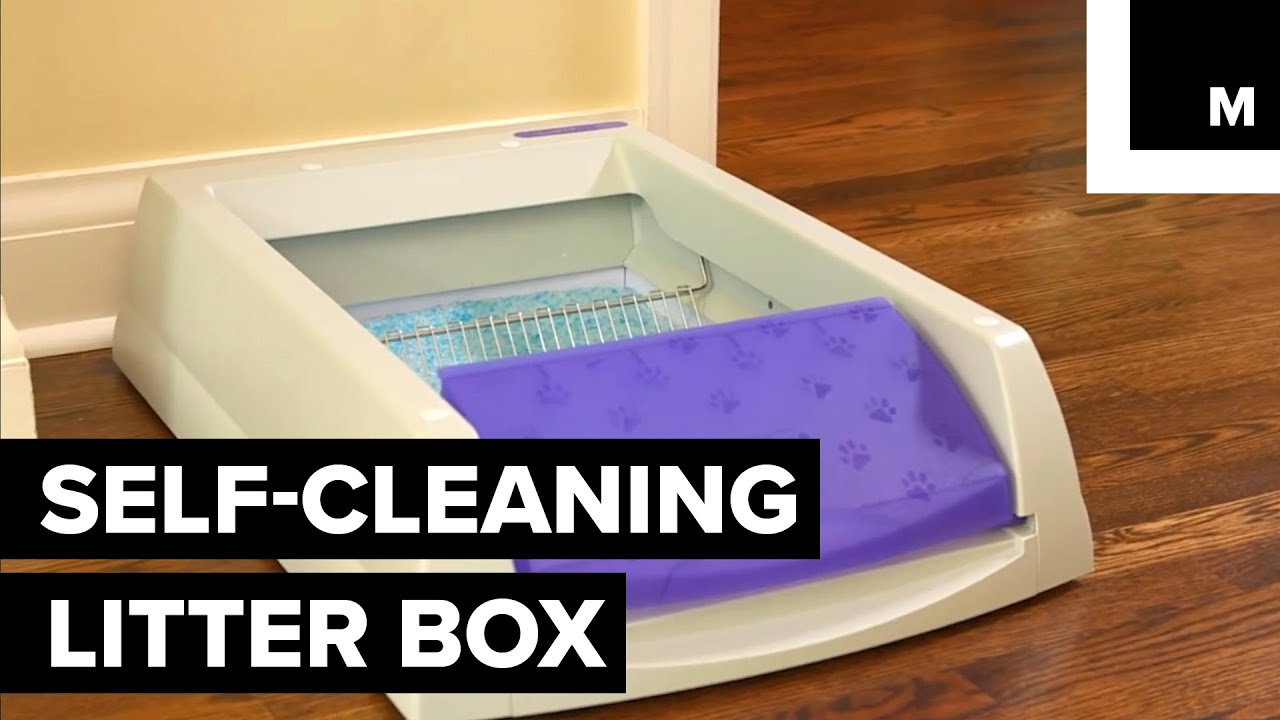 automatic cleaning of feces