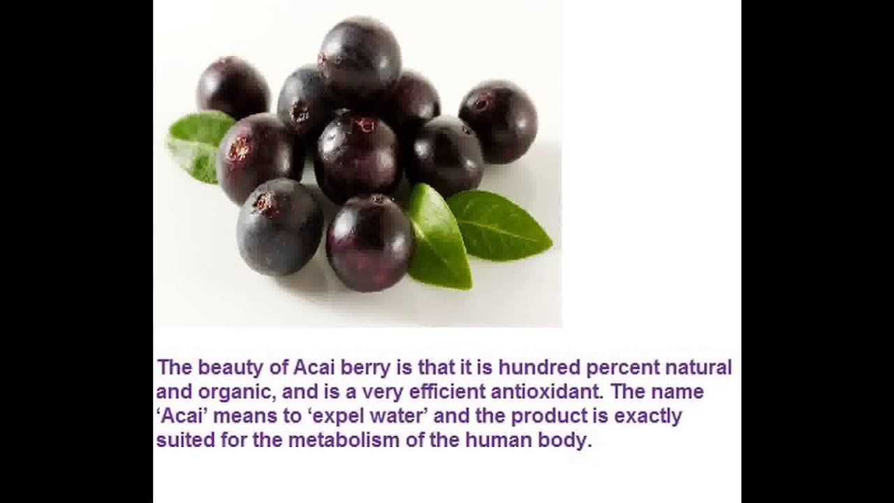 the-acai-berry-diet-dr-oz-formula-all-natural-all-pure-by-healthy-hope