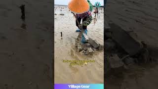 Sandworm Hunting Shes A Pro At Digging