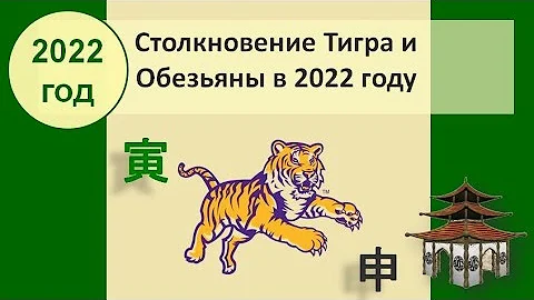 Столкновение Тигра и Обезьяны в 2022 году