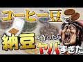 コーヒー豆で納豆を作ったらヤバすぎた!【サイエンスクッキング #3】