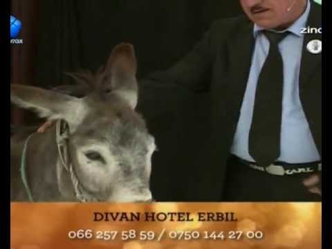 عومةر كلول كةريك دةباتة ستوديوكةى ئةفين ئاسو