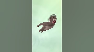 Thumbnail of OMG EVOLUTION