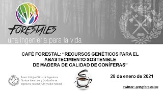 CAFÉ FORESTAL: “RECURSOS GENÉTICOS PARA ABASTECIMIENTO SOSTENIBLE DE MADERA DE CALIDAD DE CONÍFERAS”