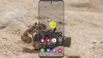 How to enable or disable Magnifier Window shortcut in Samsung Galaxy S21, S21Plus, or S21 Ultra