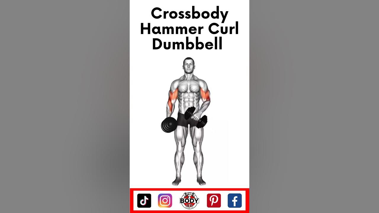 How do To Crossbody Hammer Curl with Dumbbell youtube youtubeshorts 
