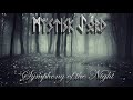 Mystisk jord   symphony of the night