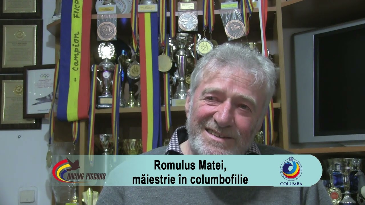 Romulus Matei, măiestrie în columbofilie