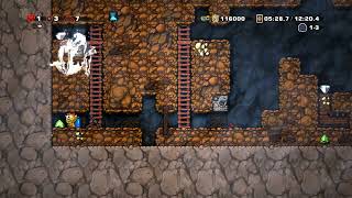Spelunky HD - Score $2,817,275