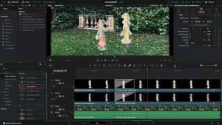 DaVinci Resolve 18.6 MacOS BigSur 11.5.1 2bunny transitions
