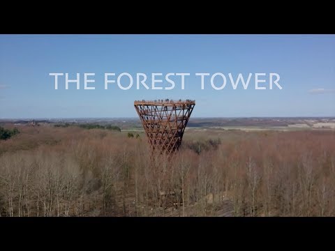 Video: Denmark Treetop Oplev Skovtårnet, Hvordan Man Besøger Og Billetter