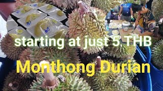 Monthong Durian #ทุเรียน#thailand
