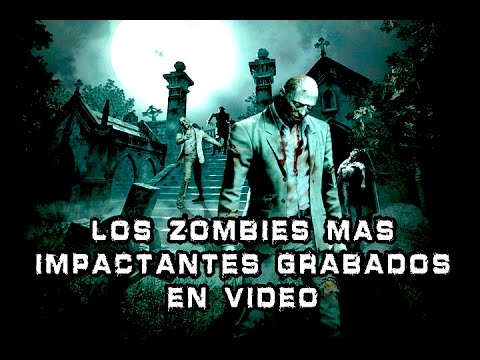 VIDEO MAS IMPACTANTES video mas impactantes: