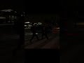 You Broke My Fu- #gta #gtaiv #gtatlad #shorts #gaming