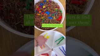 Bug Dig & Sort 🐞🐛🐝🦋