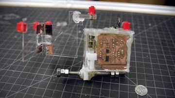 Stanford researchers solve the mystery of a swimming parasite