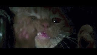 Alien 1979 - Altered Brett & Jonesy Scene Version 1