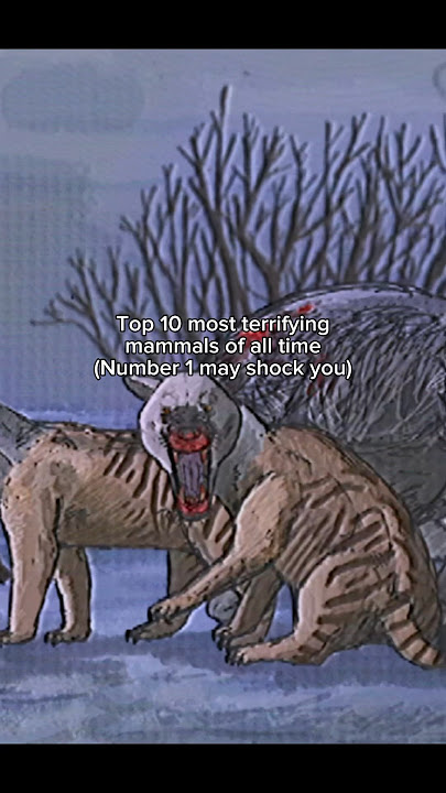 Top 10 most terrifying Mammals of all time #prehistoric #mammal #scary #extinct #animals #top10