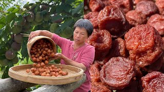 plums are covered with fruit trees, and grandma picks and eats them to make traditional dried plums