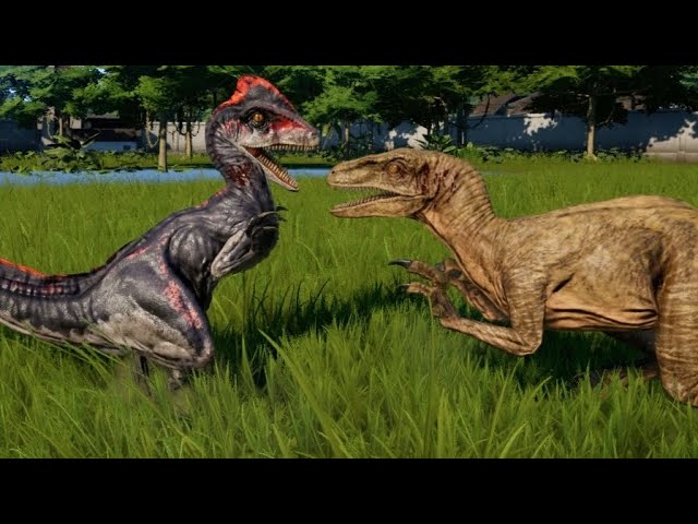 Deinonychus VS Raptor