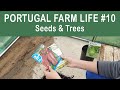 Planting SEEDS for SPRING vegetable garden | Portugal Farm Life 2-10