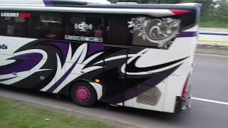Jet darat PO Haryanto 027 Golden Ratio