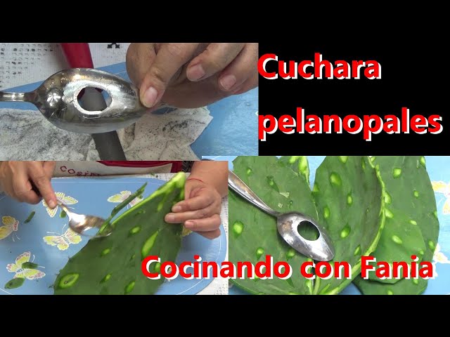 Cuchara Peladora De Nopales / Cactus Peeler Spoon / Cuchara Pela