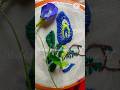 Aparajita - Stitch /অপরাজিতা সেলাই #trending #embroidery #handmade #highlights #everyone #foryou