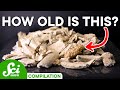How We Learn About Ancient History Using Carbon | Carbon Dating Compilation