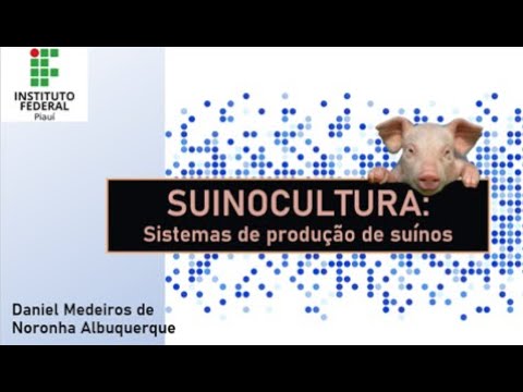 वीडियो: हॉग पेन के प्रकार: सूअर का मांस फैरोइंग से फिनिशिंग तक
