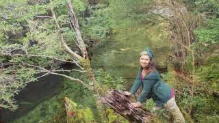 El Tiempo - Francisca Gonzalez