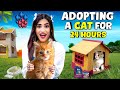 Living With A CAT For 24 Hours Challenge 🐱| * gone wrong * 😭 | SAMREEN ALI