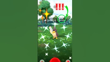 When I Got ✨ Shiny Farfetch