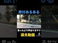 【過去動画】原付あるある #shorts