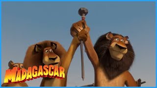 DreamWorks Madagascar | Alex Saves The Day | Madagascar: Escape 2 Africa Movie Clip